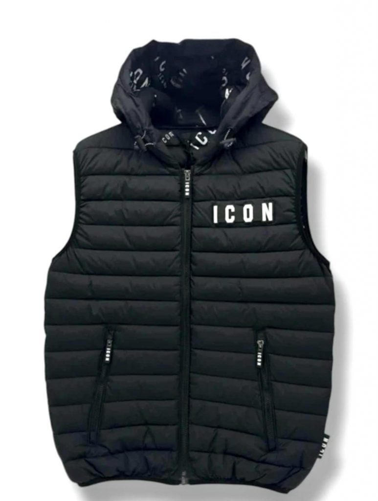 icon 13
