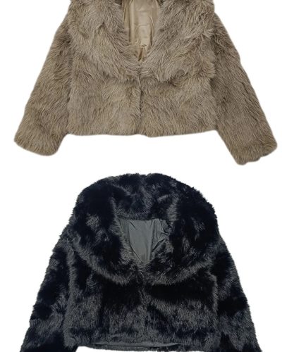 576662061_1261540362444621_7064008756314396769_n