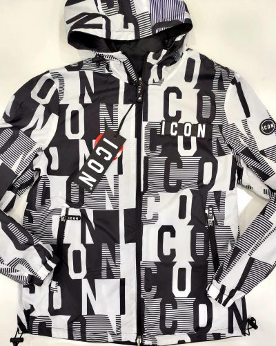 icon 12