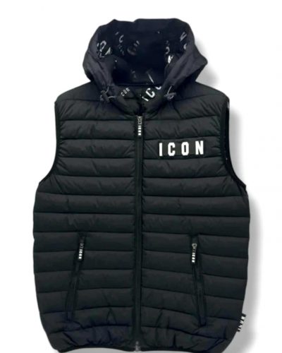 icon 13